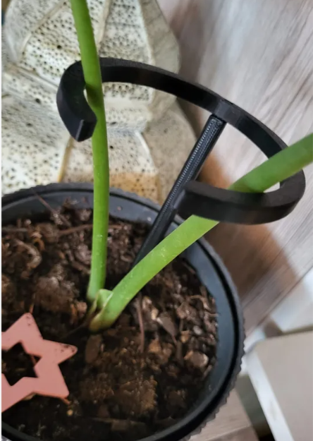 Pflanzenstütze – Stabiler Pflanzstab